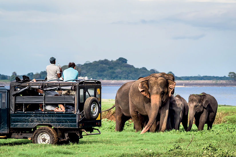 image Sri Lanka Parc national de Minneriya as_222865469